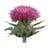 Tension Headache Herbal Relief Tension Headache Herbal Relief